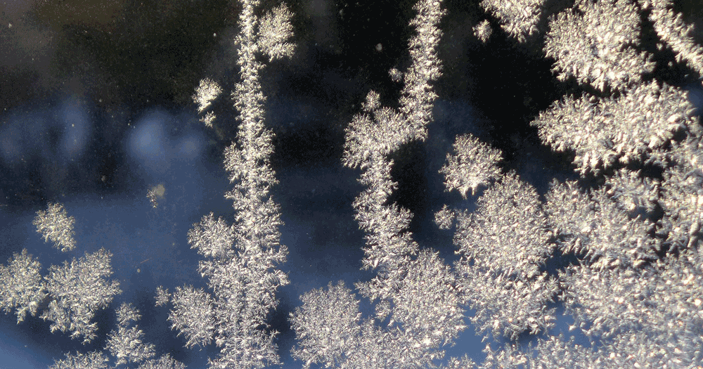 Frost on a window