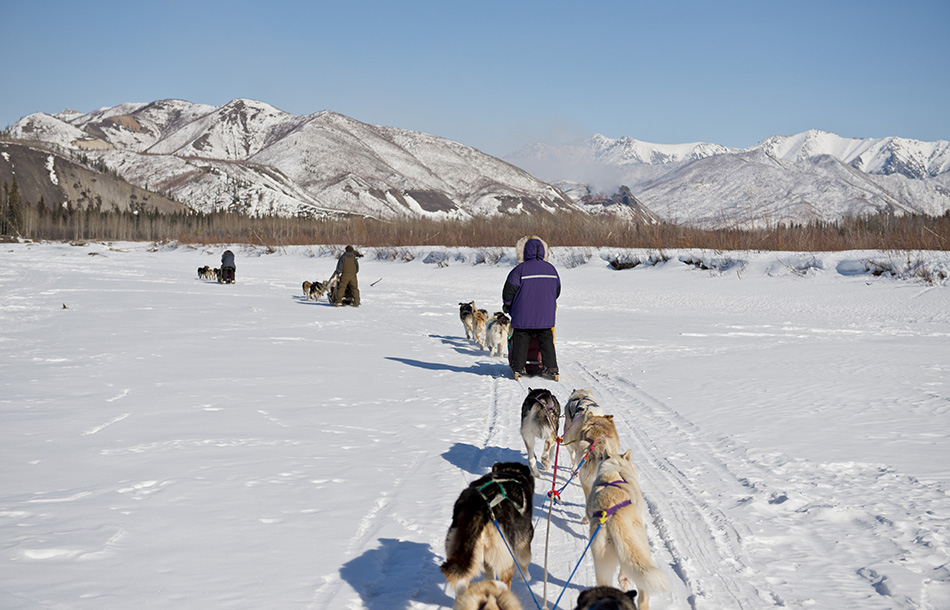 Three mushers travel on a snow-covered river with their dog teams