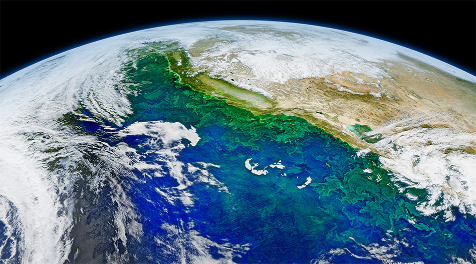 A composite image of blooming phytoplankton and swirling currents along the coast of California and western Mexico. (Credit: Norman Kuring / NASA) 