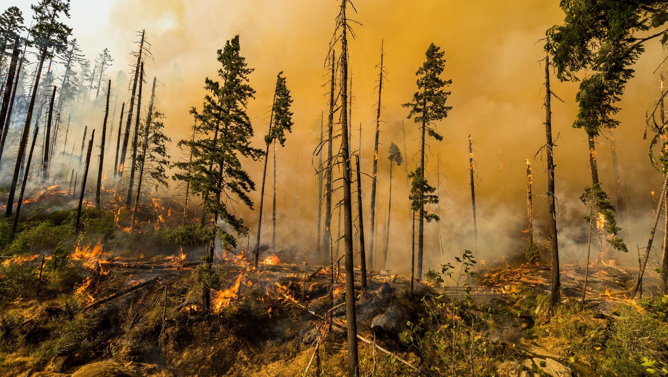 The Jones Fire burns in Oregon in 2017.