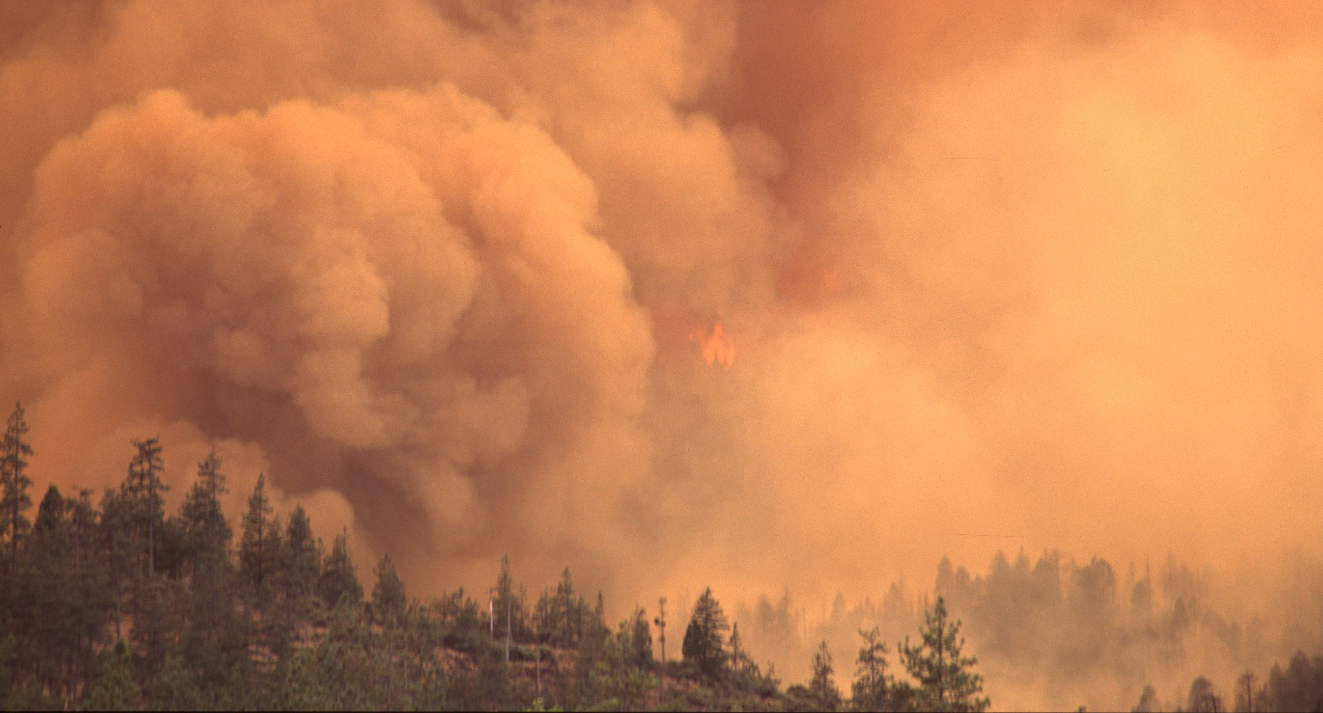 Wildfire in Oregon.