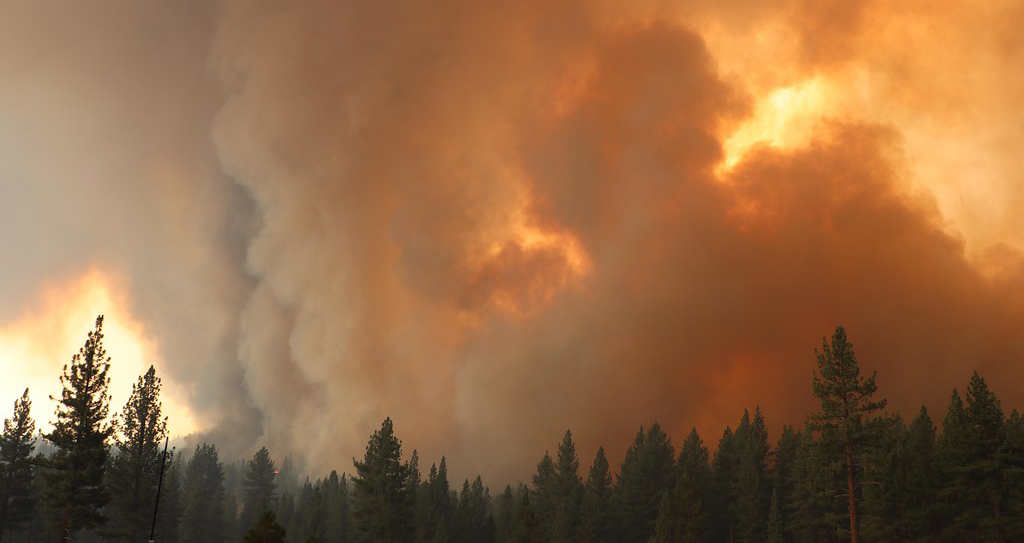 A column of smoke rises from the Tamarack Fire in Nevada in 2021.
