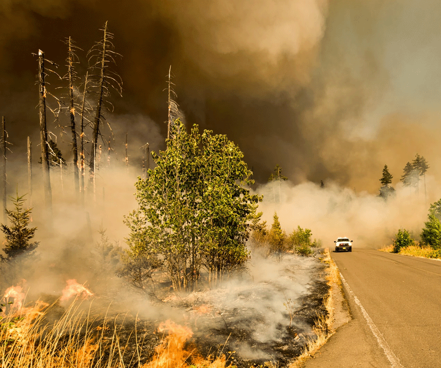 Car drives past wildfire