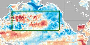 Sea surface temps in the Pacific