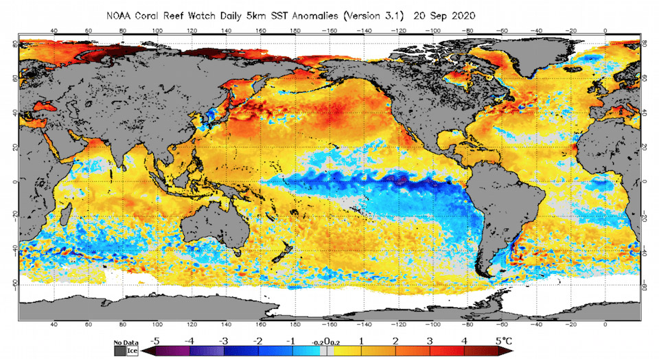 A visualization of sea surface temperatures in the tropical Pacific in September 2020.