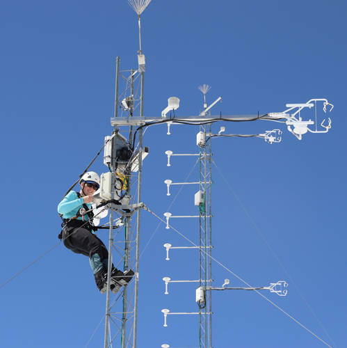 Researcher on tower at SOS field site.