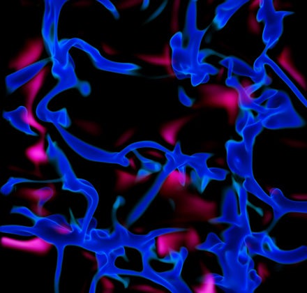 Color visualization in black, blue and purple