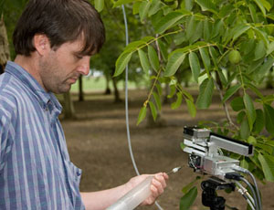 Photograph of Alex Guenther using instrument in a grove of trees