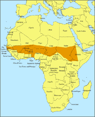 Health and Weather: UCAR Weather Forecasts Aim to Reduce African ...