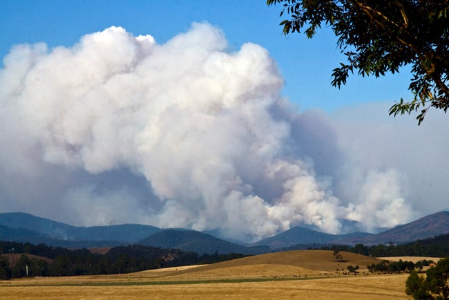 Wildfire in Australia