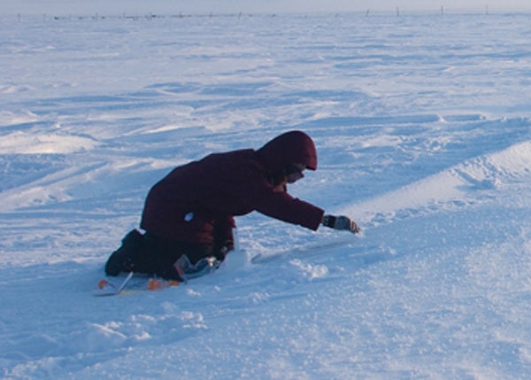 Researcher collects snow samples. 
