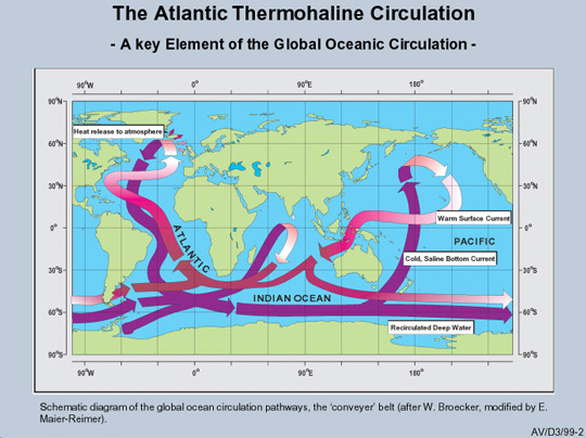 Map showing ocean Thermohaline Circulation 