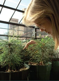 Photo of woman looking at potted plants by window