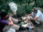Photo of two men sitting in woods with equipment