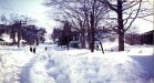 blizzard of 78