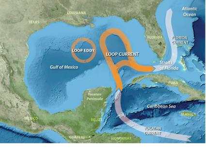 loop current