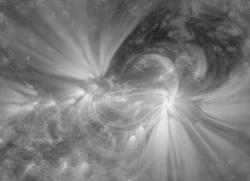 An active region on the Sun, showing coronal loops
