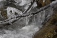 ice