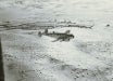 blizzard of 49
