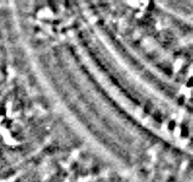 still from movie of wiggling energy waves on the Sun