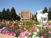 UW campus with flowers in bloom