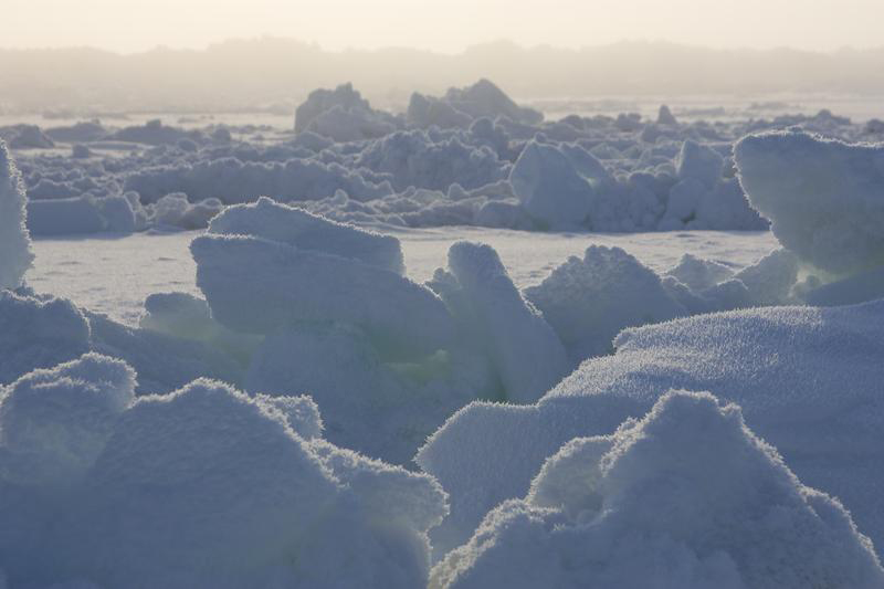 Sea ice north of Barrow, AK