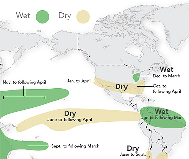 Portion of global graphic showing effects of La Niña on precipitation and temperature