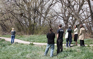 Staff members watch bears in tree
