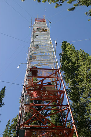 Instrumented tower for measuring carbon dioxide, Niwot Ridge, CO