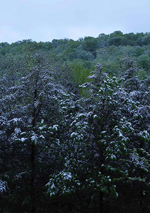 Putting cold in context: Snowfall atop Ozark Mountains, May 4, 2013