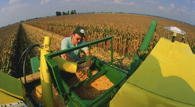 Agricultural engineer Kenneth Sudduth examines samples of grain collected by a combine.