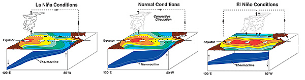 Cross sections of La Nina, neutral, and El Nino conditions in tropical Pacific Ocean