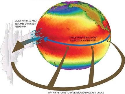 Diagram showing Walker circulation over Pacific Ocean