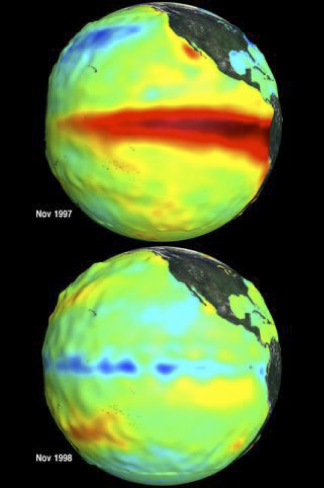 Sea surface temperature and height anomalies in El Niño of 1997 and La Niña of 1998