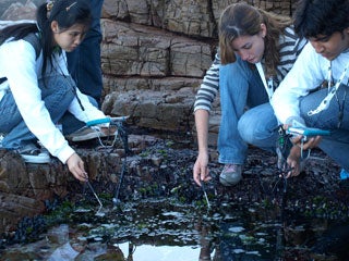 GLOBE students test water salinity at a tide pool off the Cape of Good Hope in South Africa.