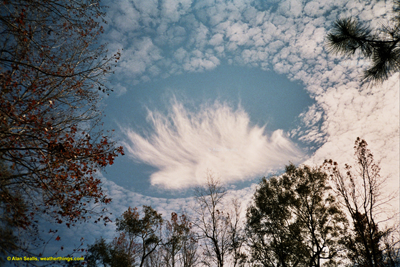 Hole-punch clouds have long fascinated the public.
