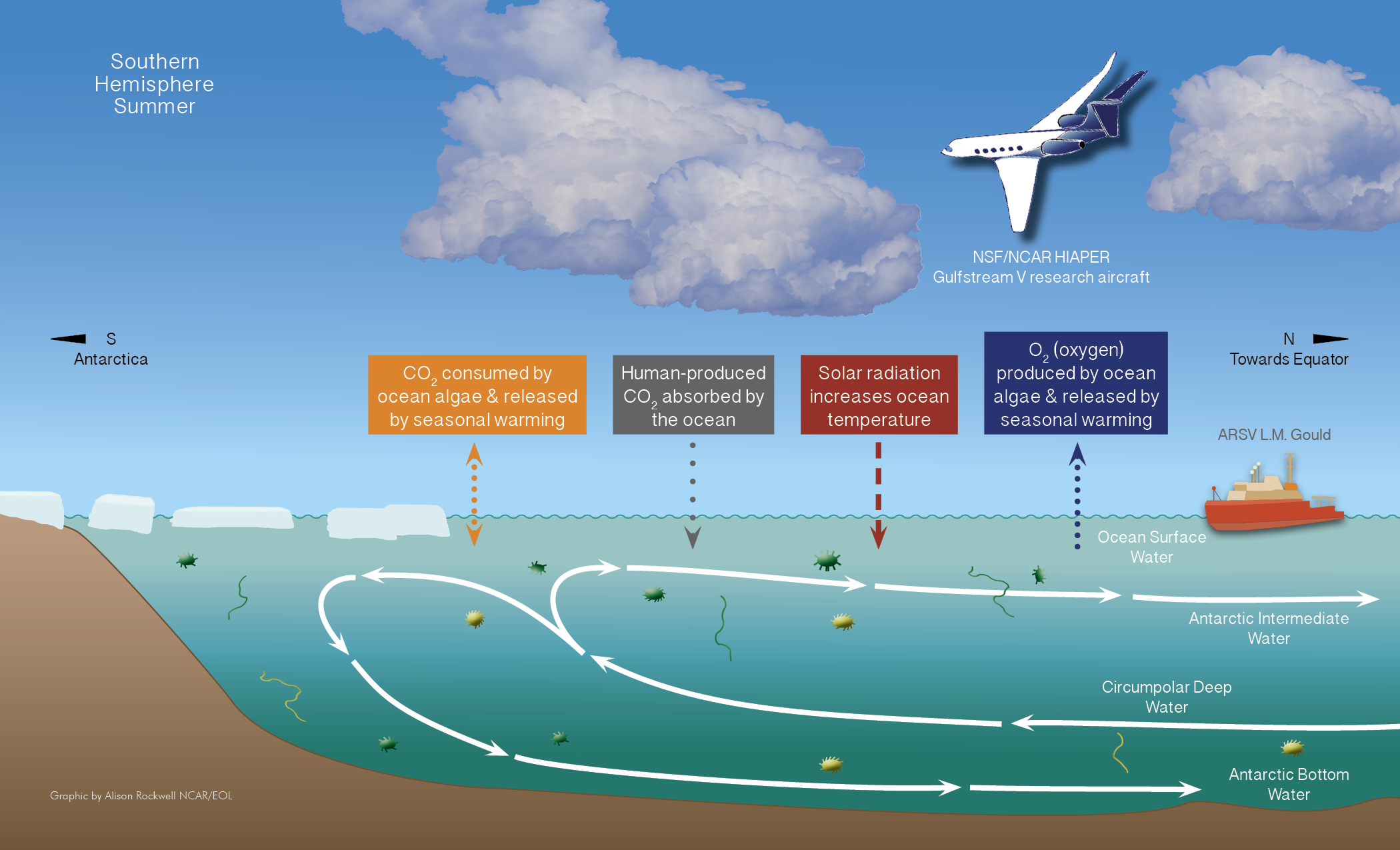 Infographic showing air-sea exchange in the Southern Ocean