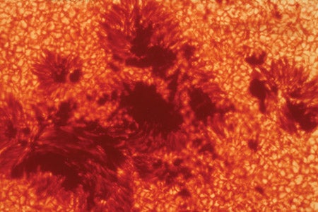 Group of sunspots on the surface of the Sun