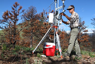 Dave Gochis setting up instruments in the forest.