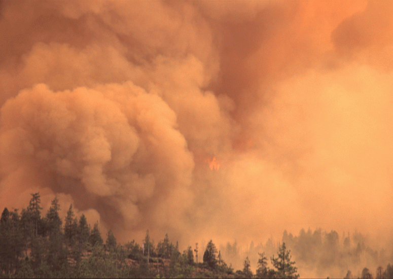 Pacific Northwest wildfires alter air pollution patterns across North America