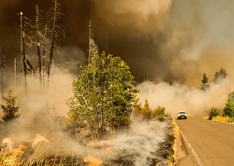 Car drives past wildfire