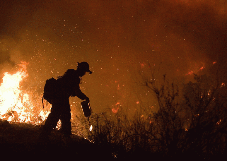 Fire crews fight California wildfire