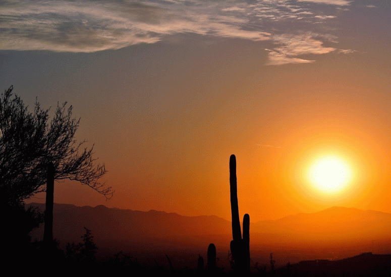 Sunrise over Arizona desert