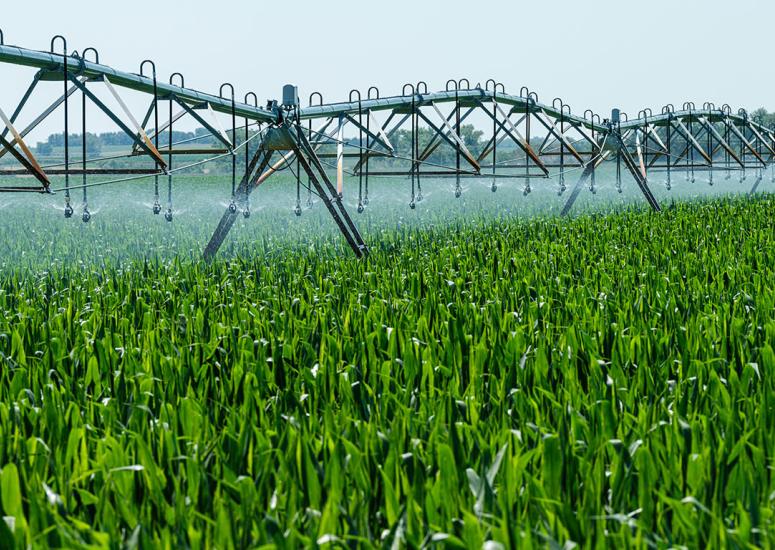 Irrigation system watering a field.