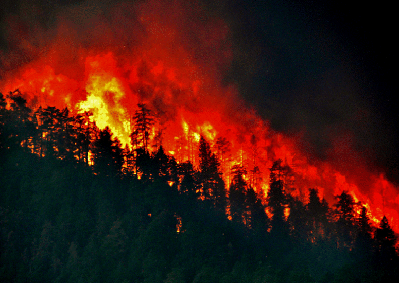 A ridge burns during the 2012 High Park Wildfire in Colorado.
