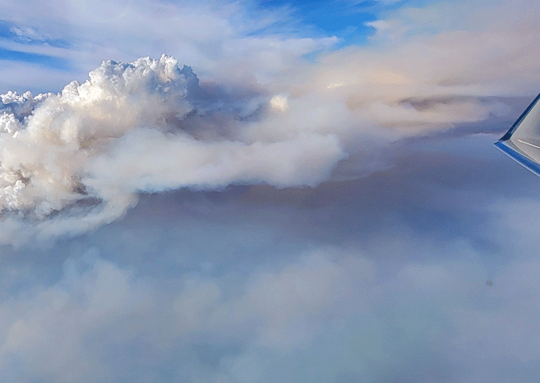View from NSF NCAR Gulfstream V of pyrocumulonimbus cloud.
