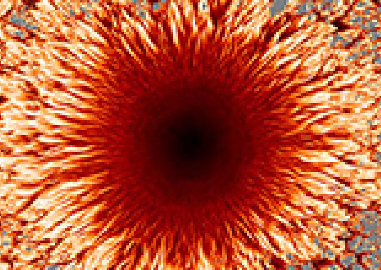 Color visualization of a sunspot's umbra and penumbra