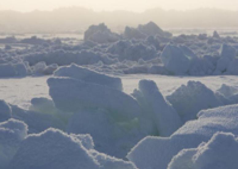 Ice in the Chukchi Sea
