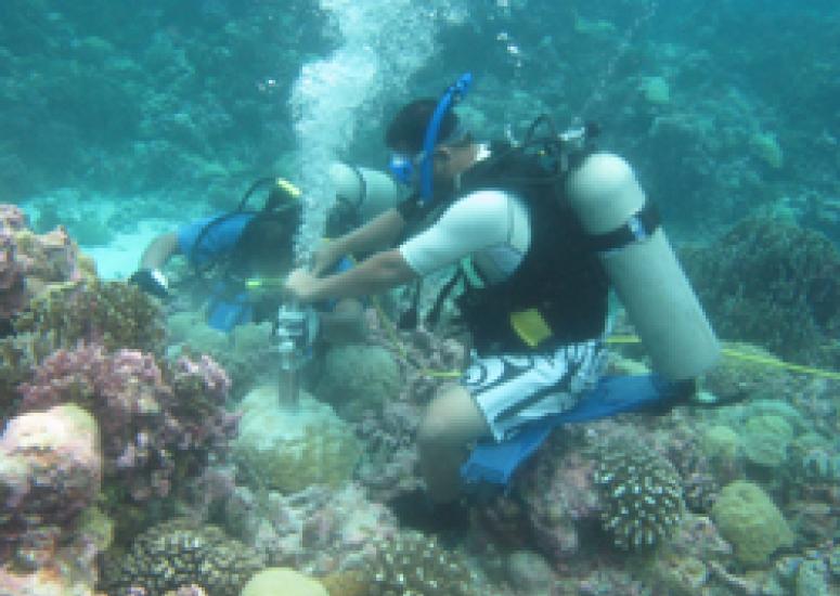 Sampling coral in the Pacific near Kiribati