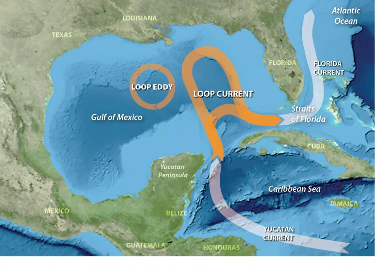 Track of Loop Current in the Gulf of Mexico